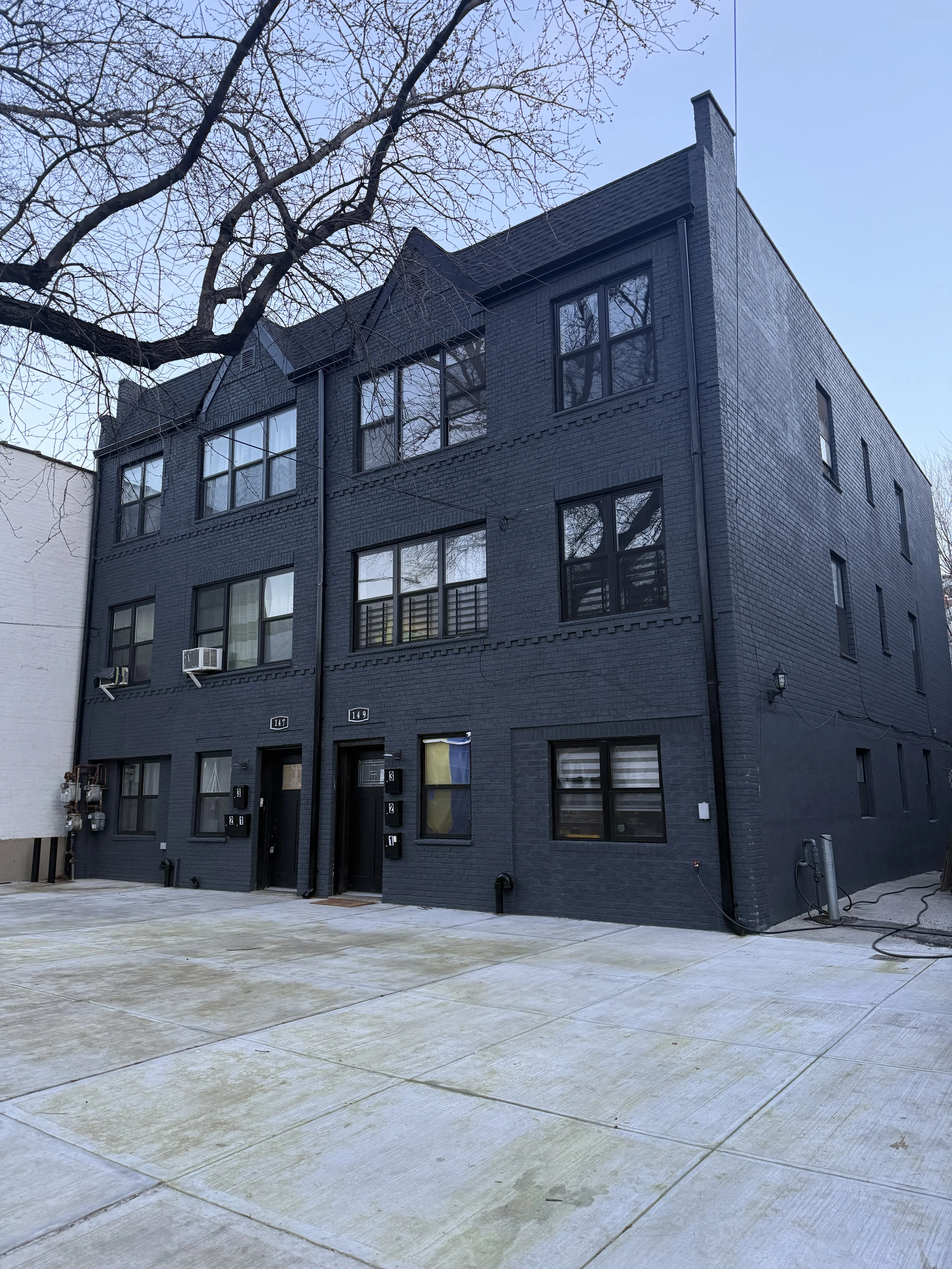 149 Tehema Street property